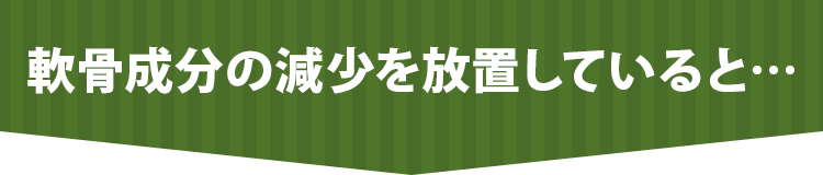 軟骨成分の減少を放置していると…